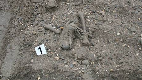 Lidské ostatky nalezené ve tvrtek bagristou u Kunovic.
