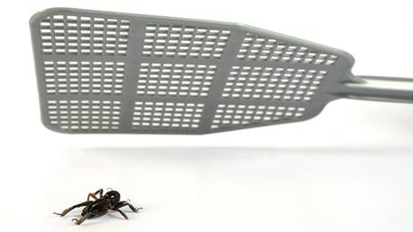 Plácaka na mravence samozejm zabírá, ale zkuste je radji nedív vystrnadit.