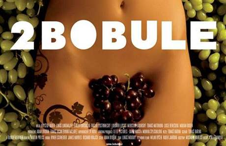 Návrh plakátu k filmu 2 Bobule - klín