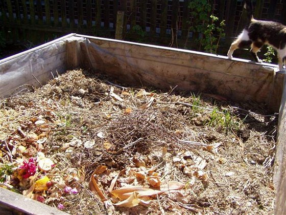 Kolem panelák v Havlíkov Brod by mohly zaít vyrstat komposty. Ilustraní foto