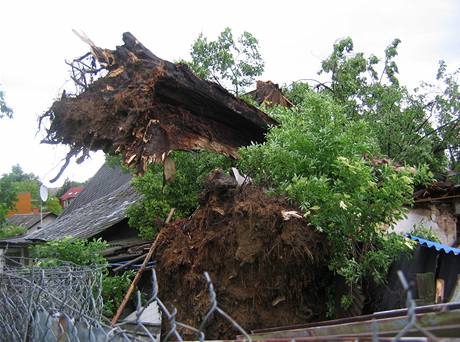 Spadl strom zdemoloval staven manel z Olomoucka.
