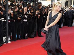Cannes 2009 - Helene de Fougerolles 