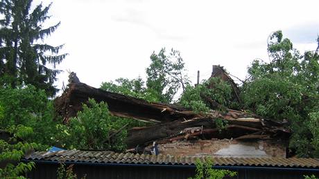 Spadlý strom zdemoloval stavení manel z Olomoucka.
