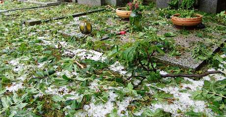 Kroupy zasypaly Znojemsko - hřbitov v Derflicích