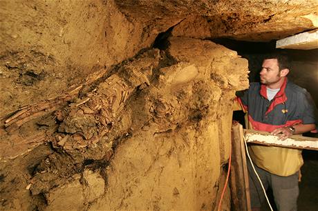 Archeolog Ivo terc istí mamutí kly objevené v Milovicích na Beclavsku (12. ervna 2009)