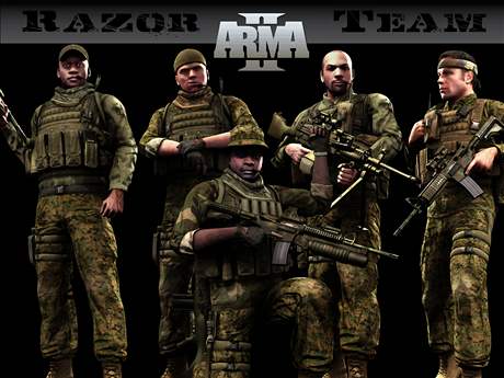 ArmA 2 (PC)