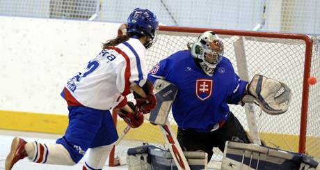 esko - Slovensko, utkání hokejbalistek