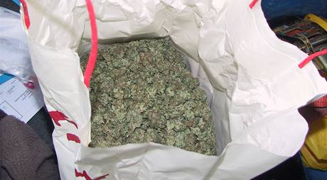 Celníci zabavili dva kilogramy marihuany, kterou našel policejní pes
