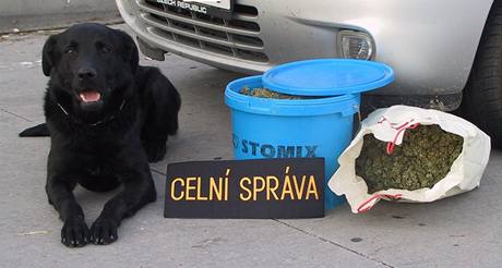 Celnci zabavili dva kilogramy marihuany, kterou nael policejn pes