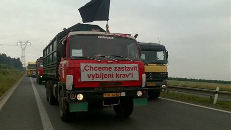 Protestující zemdlci blokují provoz v okolí Plzn. Nad autem jim vlaje erná vlajka. Zemdlci musejí kvli nízkým výkupním cenám méka vybíjet krávy (29. ervna 2009)