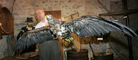 Zoolog Prcheskho muzea v Psku Ji ebestin s vycpanm samcem orla moskho