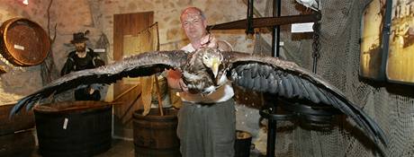 Zoolog Prcheskho muzea v Psku Ji ebestin s vycpanm samcem orla moskho