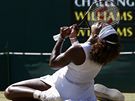 Serena Williamsová se raduje z vítzství ve finále Wimbledonu