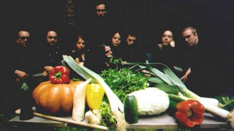 Vienna Vegetable Orchestra