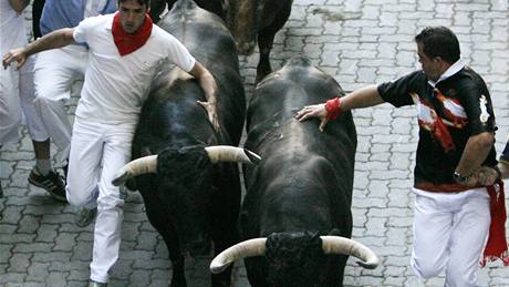 Prvního úprku ped býky se v ulicích Pamplony zúastnily dva tisíce lidí (7. ervence 2009)