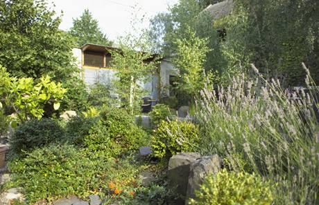 Bujn zahradn zele znabz hostm v letnm byt soukrom