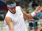 Del Potro v zápase Davisova poháru proti esku