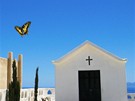 Být na Santorini a fotit otakárka na místním hbitov. Ráj na zemi...