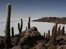 Ostrov ivota v solné pouti (Salar de Uyuni, Bolivie)