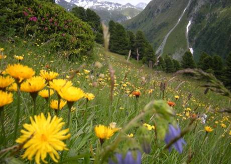 Alpy se letos staly cílem dovolené nkolika eských politik. Ilustraní foto.