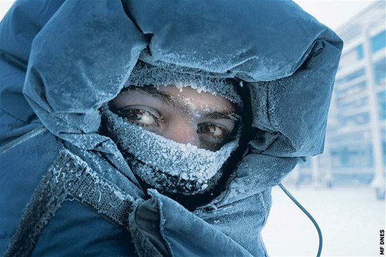 Pes padesát stup pod nulou bylo na meteorologické stanici Hoseda-Hard u severního Uralu. Ilustraní foto