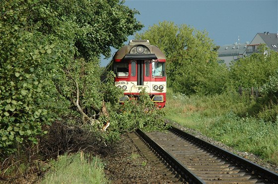 Strom na trati omezil provoz v Praze Kbelích.