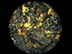 Vbrus lunrnho meteoritu Northeast Africa 003 (na snmku pozenm pes mikroskop) je jednm z expont vstavy Nvrat na Msc ve tefnikov hvzdrn v Praze na Petn