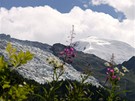 Z údolí a na vrcholky hor. Mont Blanc 4.810 m, Alpy
