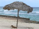 Playa Coral na Kub