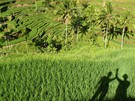 Slunce jako samospou obtiskuje nae postavy v rýovém ráji na Bali