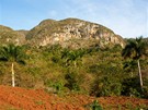 Kuba. Rozhledy z kopc ve Val de Vinales. Místní oranová pda je výborná pro pstování tabáku