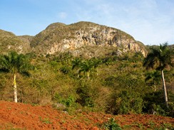 Kuba. Rozhledy z kopc ve Val de Vinales. Mstn oranov pda je vborn pro pstovn tabku