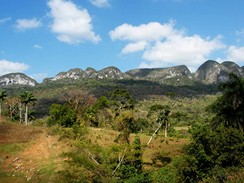 Kuba. Oblast Val de Vinales