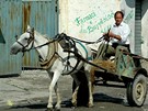 Shkodër, Albánie