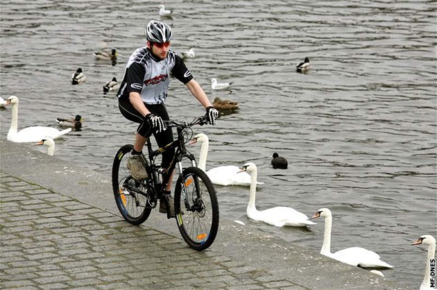 Loni z�stalo v �esku na prodej asi 317 tisíc bicykl�, tedy o 76 tisíc kus� mén� ne� v roce 2008. Ilustra�ní foto.