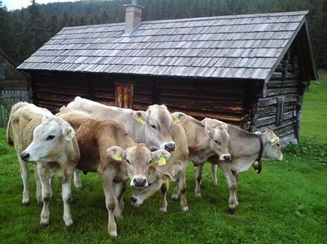 Rakousko, na salai nad Grbmingem