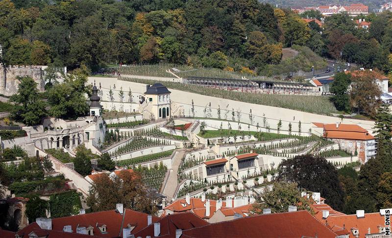 Praha, Svatováclavská vinice, Praský hrad