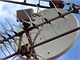 Satelitn pipojen k internetu Astra2Connect