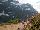 Na svt je hodn malých ráj. Jedním z nich jsou teba rakouské Alpy