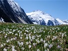 V údolí Krimmler Achental (Pinzgau, Rakousko)