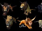 World of Warcraft: nov vzhled forem pro druidy