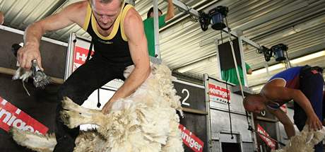 V Malhostovicch na Brnnsku se o vkendu konalo mistrovstv ve sthn ovc
