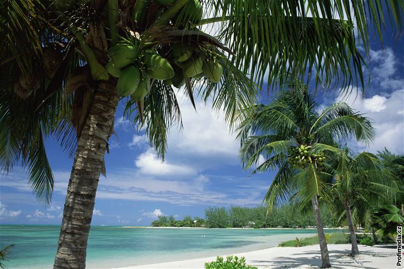 Kajmanské ostrovy, plá poblí Rum point na Grand Cayman