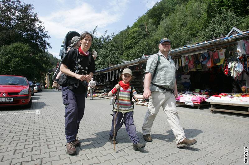 Obí asijská trnice v centru Henska