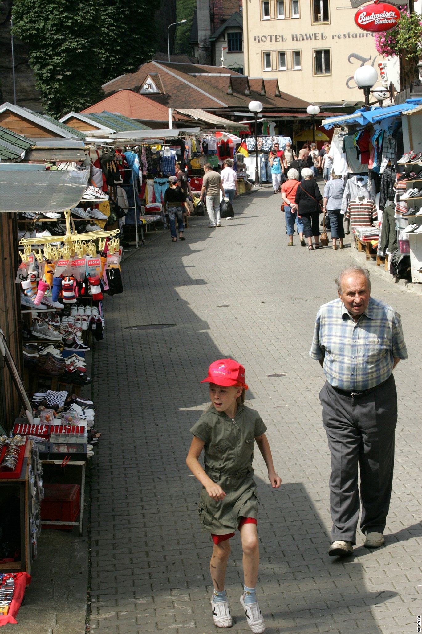 Asijská trnice v centru Henska