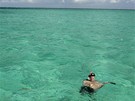 Kajmanské ostrovy, plavání s rejnoky