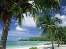 Kajmanské ostrovy, plá poblí Rum point na Grand Cayman