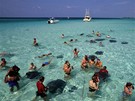 Kajmanské ostrovy, plavání s rejnoky - Stingray City