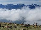 Ranní odpoinek v Rocky Mountain National Park (Colorado, USA)