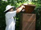 Tzv. kuřák pomáhá včelaři zklidňovat včely, například aby mohl prohlédnout rámky 